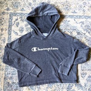 Champion Crop Hoodie